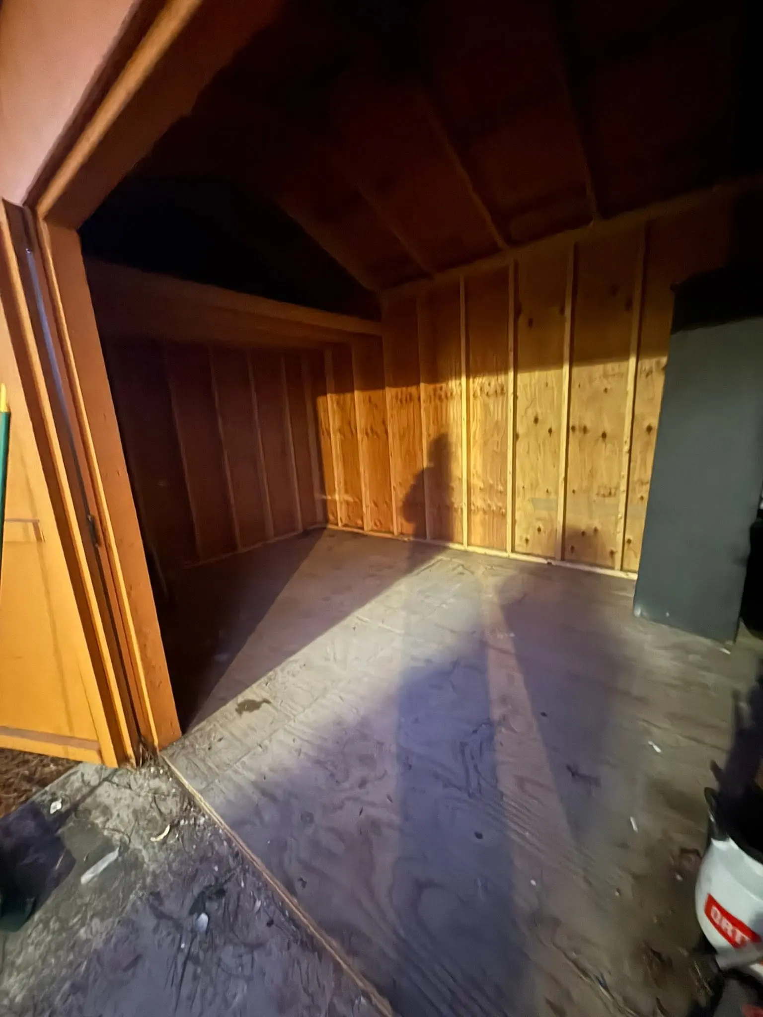 Shed after cleanout